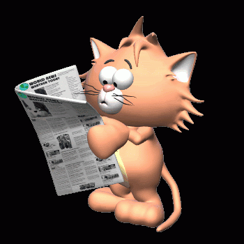 Кот читает газету