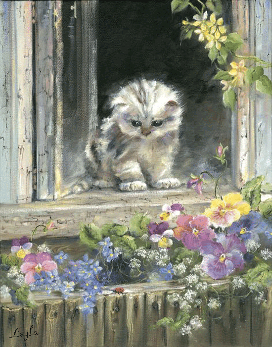 Рисунок котенок на окне