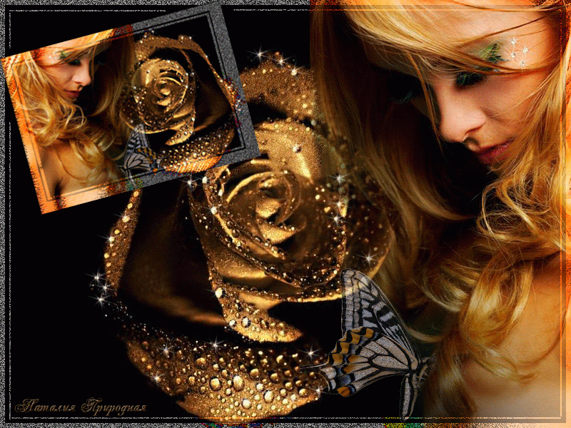 Золотая роза с девушкой