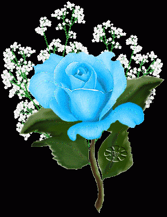 Фото голубой розы