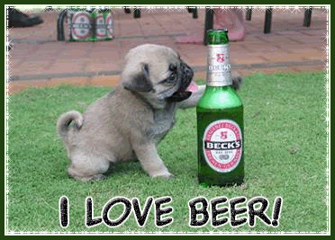 Собака с пивом