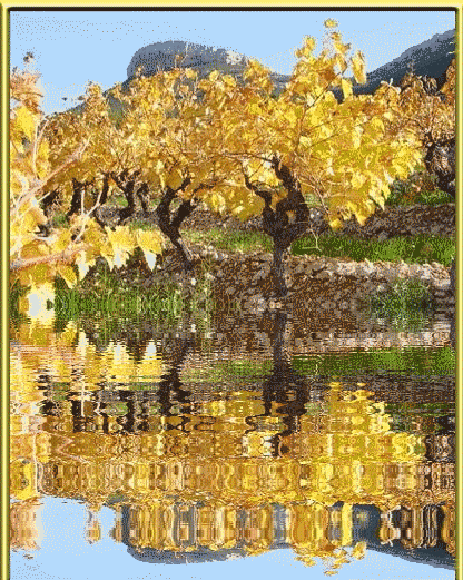 Деревья с желтыми листьями