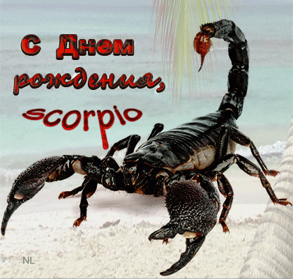 С Днем рождения, знак скорпиона