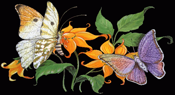Рисунок с бабочками на цветах