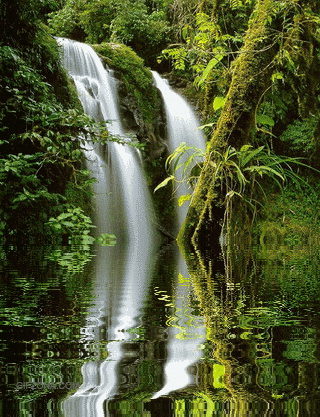 Картинка GIF с водопадом