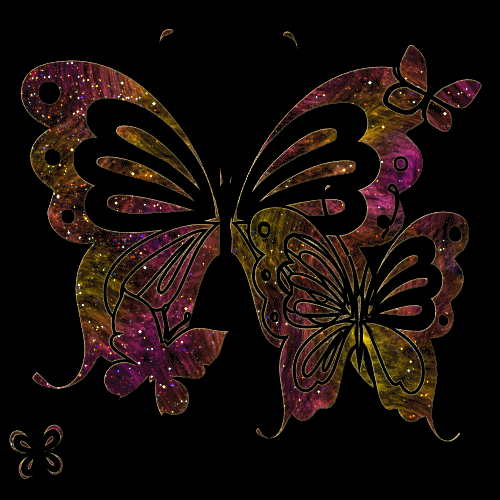 Красивые бабочки GIF