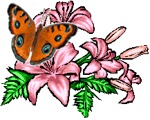 Бабочка на цветочках