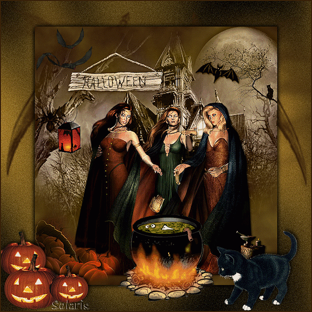 Девушки ведьмы Хэллоуина