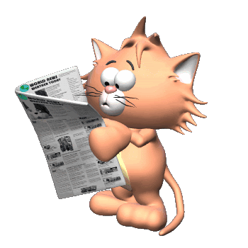 Кот читает газету