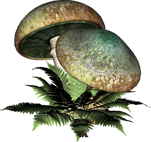 Анимация грибы