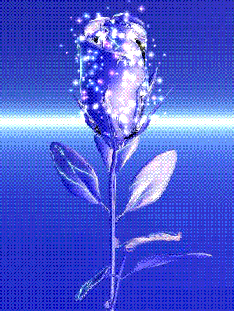 Синяя роза GIF
