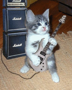 Котенок с гитарой