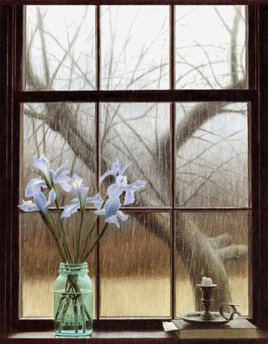 Цветы у окна
