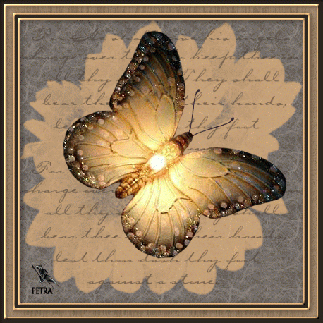 Бабочки GIF