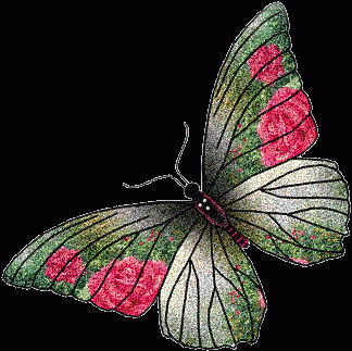 Фото GIF с бабочками